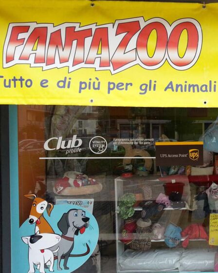 Fantazoo Toeletta e Articoli per Animali Fantazoo - Romanina